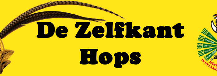 logo_Zelfkant logo_Zelfkant